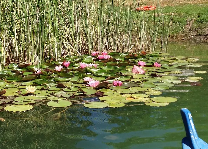 Casa Boschetto Gospodarstwo wiejskie *